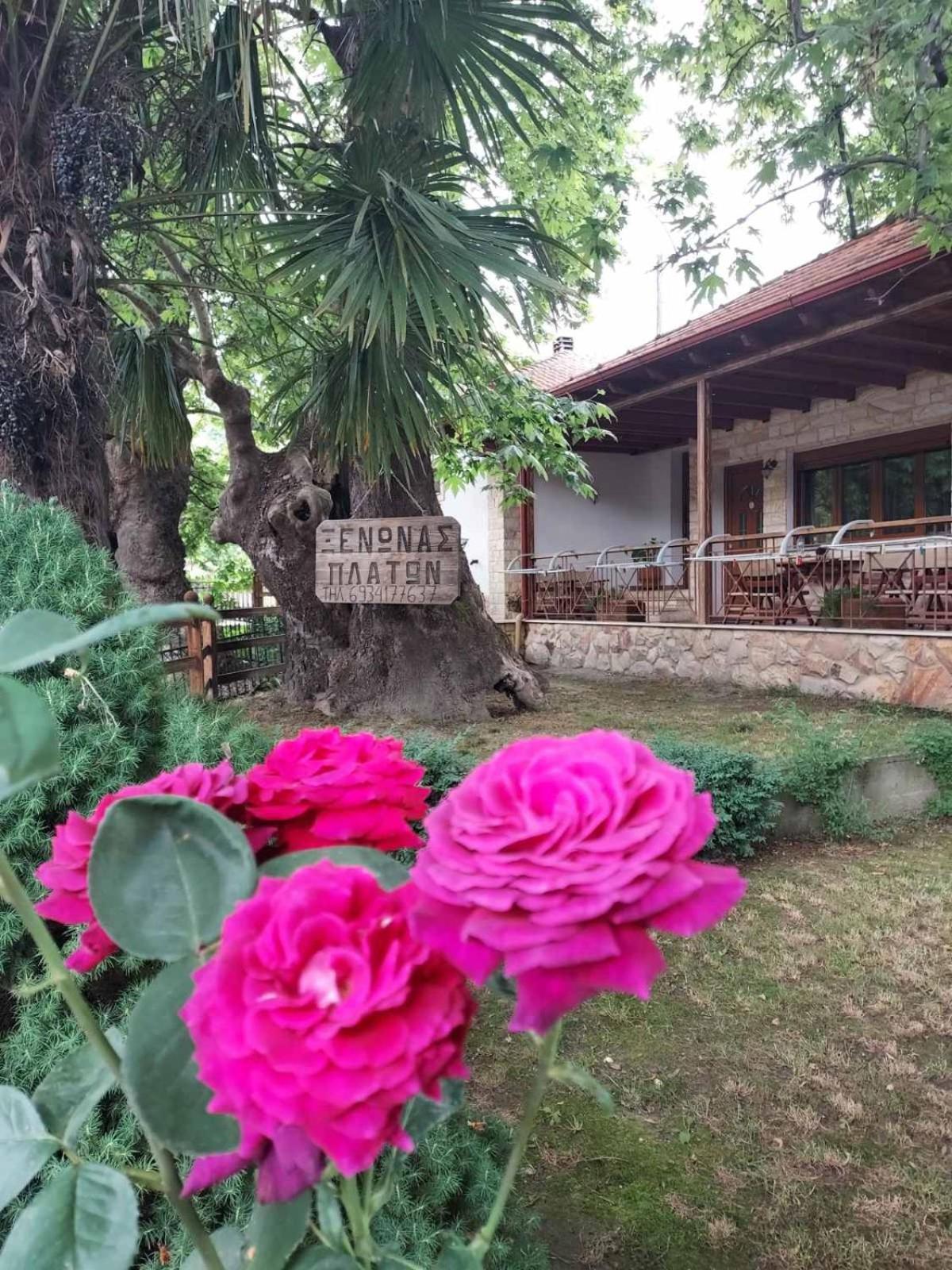 Guesthouse Platon Órma Exterior foto