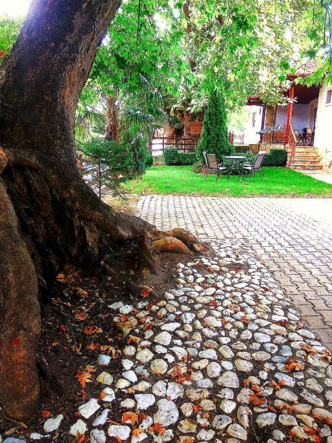Guesthouse Platon Órma Exterior foto